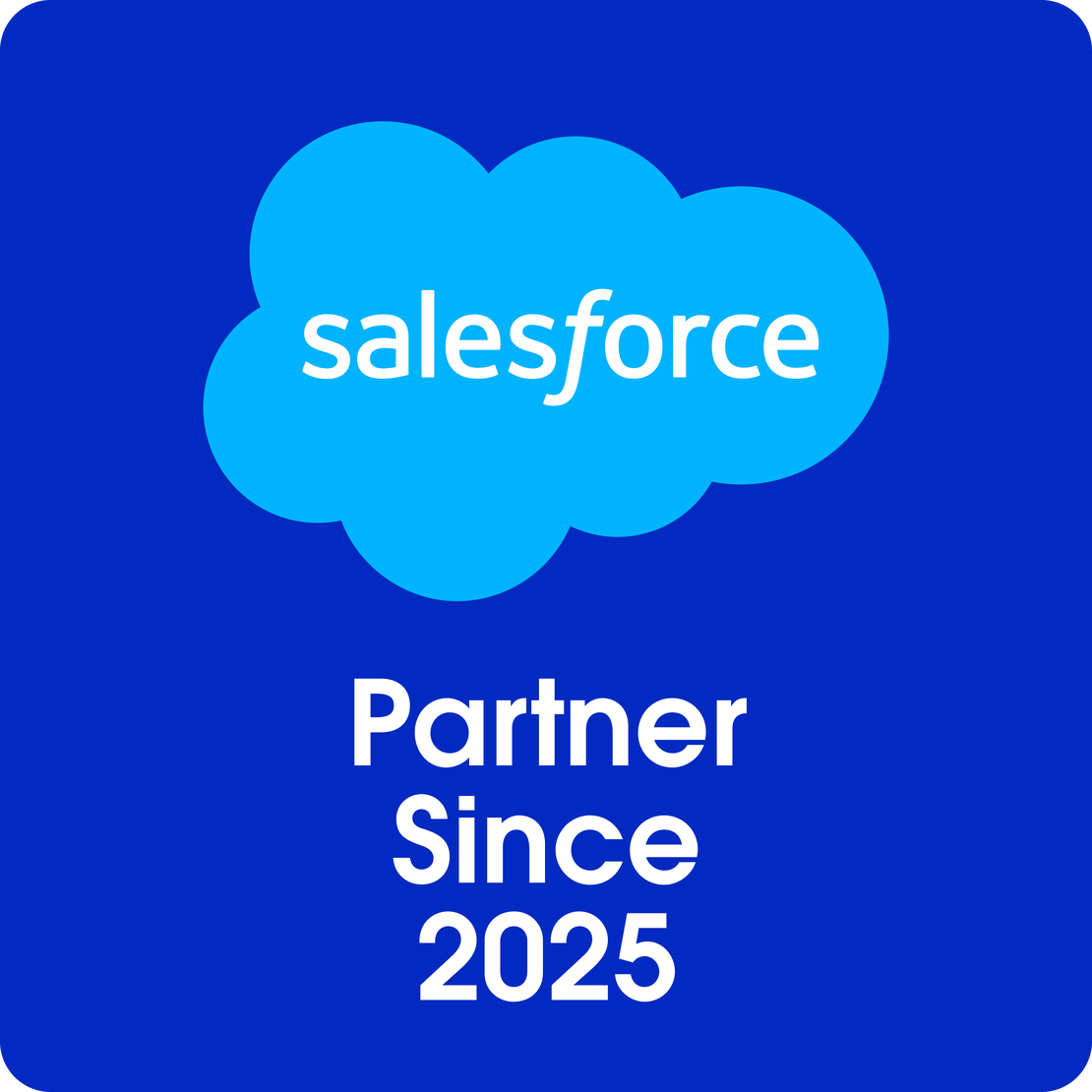 Salesforce Partner